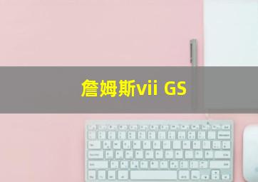 詹姆斯vii GS